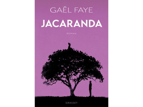 Jacaranda