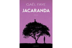 Jacaranda