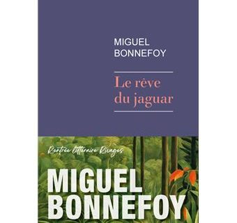 Le rêve du jaguar